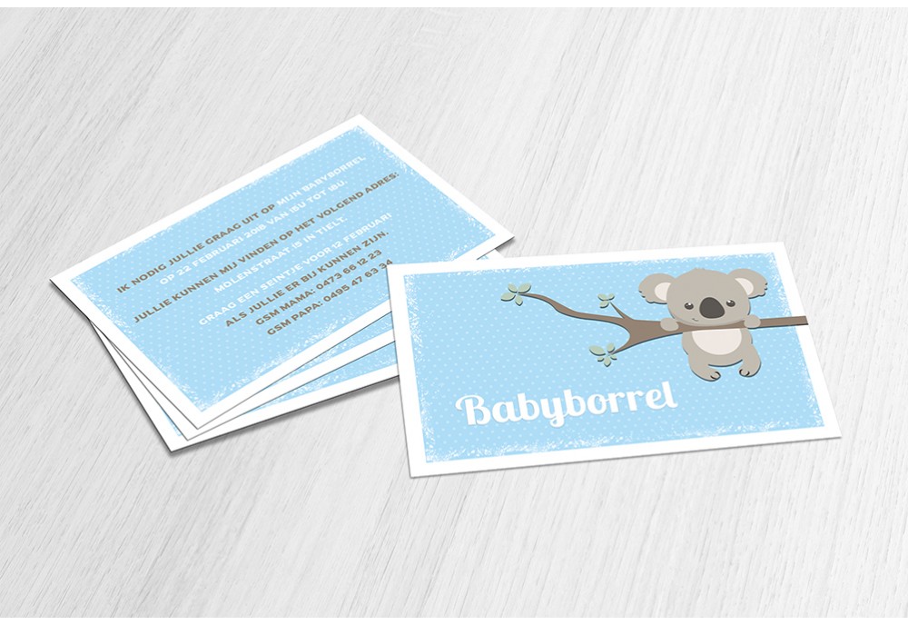 Lieve koalabeer